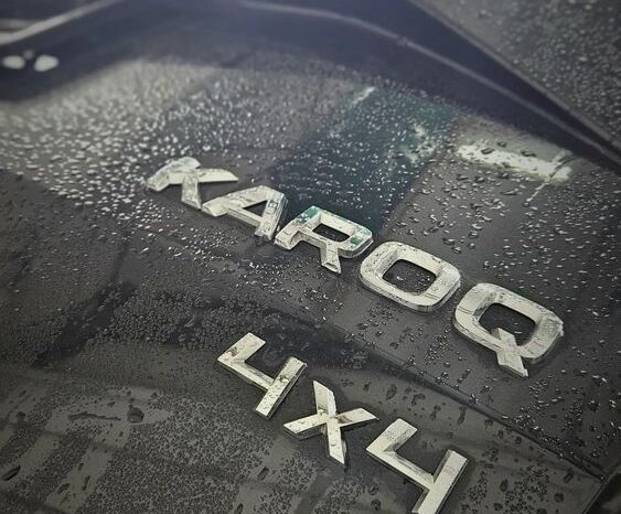 Skoda Karoq 2.0 TDI SCR 4×4 DSG Ambition full