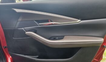 Mazda CX-30 SKYACTIV-X 2.0 M-Hybrid full